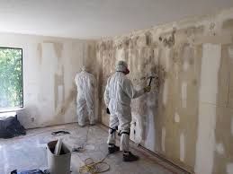 Professional Mold Removal Services in Hines, OR